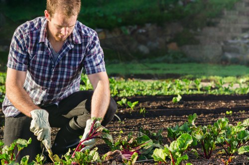 Gardening tools and service agreement overview