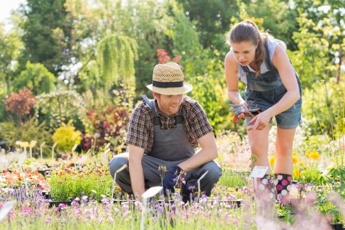 Garden maintenance in Totteridge performed with safety awareness