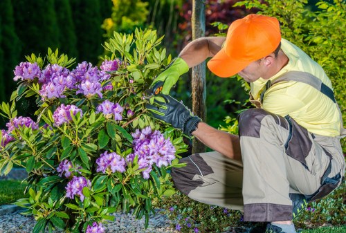 Gardeners Totteridge maintaining a leafy residential garden