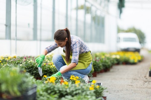 Seasonal garden maintenance in Totteridge with plants and shrubs