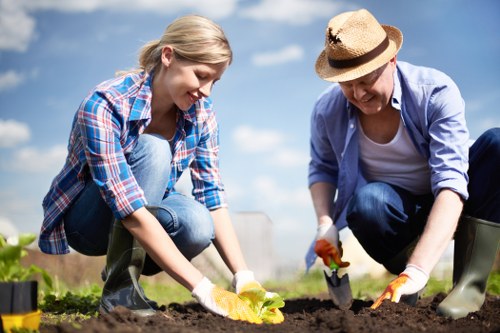 Healthy lawn care in Totteridge with neat grass and garden maintenance