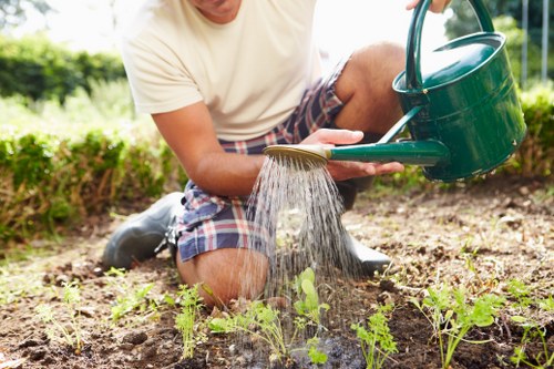 Seasonal gardening services in Totteridge for vibrant outdoor spaces