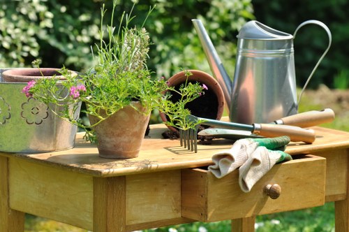 Seasonal lawn mowing care for a healthy Totteridge lawn