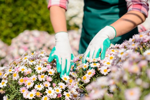 Low-carbon van used by Gardeners Totteridge for sustainable collections