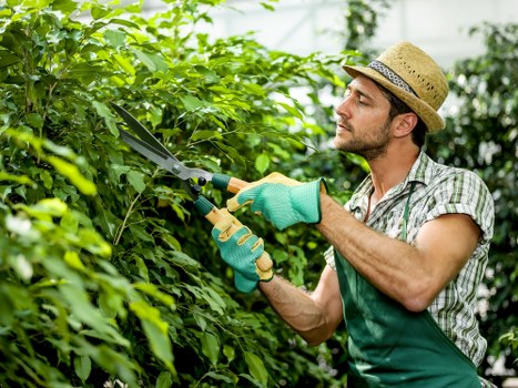 Fair resolution process for garden service issues