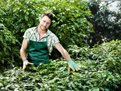 Totteridge garden specialists improving pathways, borders, and outdoor presentation