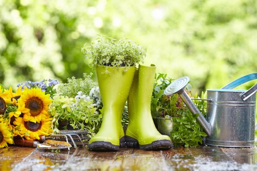Seasonal garden maintenance in Totteridge with hedges and mature greenery
