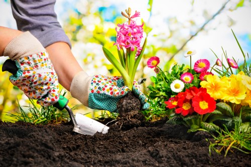 Professional garden waste removal in Totteridge outdoor space