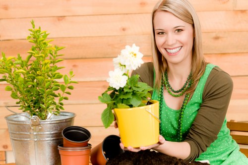 Complete tree removal service in Totteridge