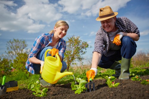 Professional Totteridge gardener working on borders and lawn