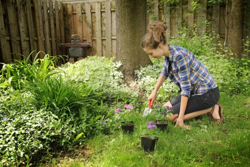 Seasonal garden clearance work in Totteridge with green waste collection