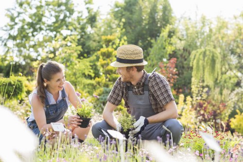 Professional garden care in Totteridge with emphasis on healthy structure and growth