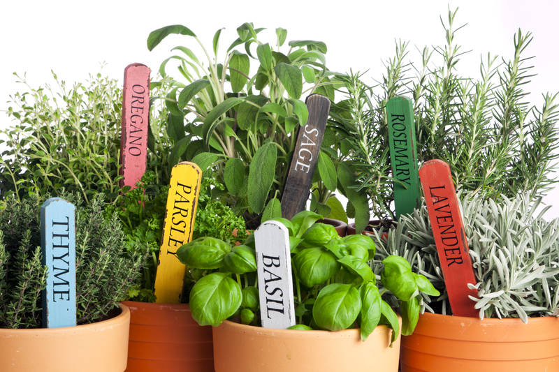 garden care Garden