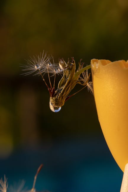 A close-up view of a yellow garden candle with a partially melted edge, positioned outdoors during twilight. In the background, a blurred garden scene with subtle greenery and soft natural light can b