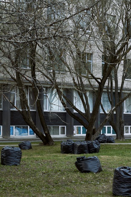 An outdoor scene in a residential garden featuring several large black garbage bags filled with garden waste placed on a patch of green grass. In the background, there are leafless trees with spreadin